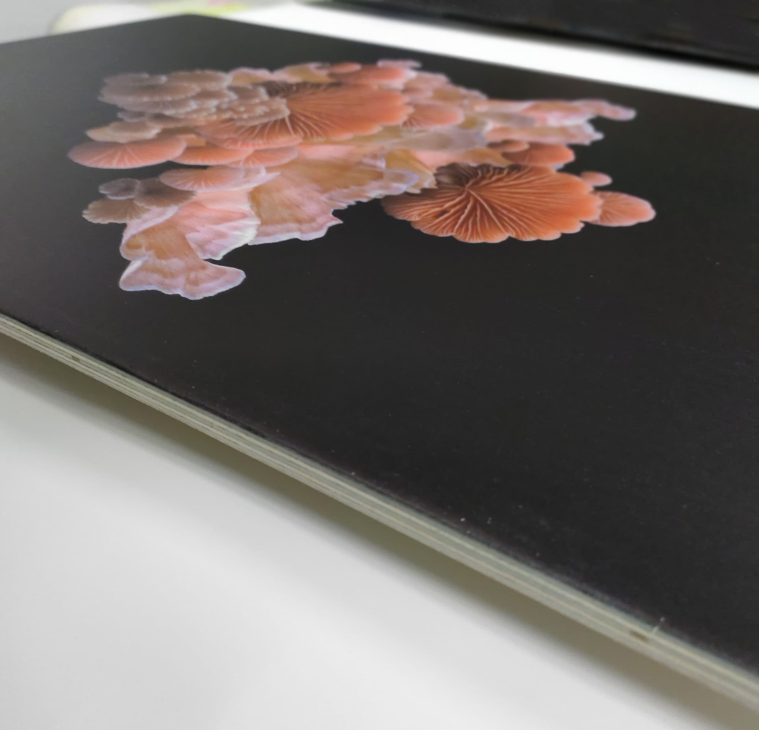Botanische Pilzmotive auf Holz — Kunstdrucke von Sharlene Durfey