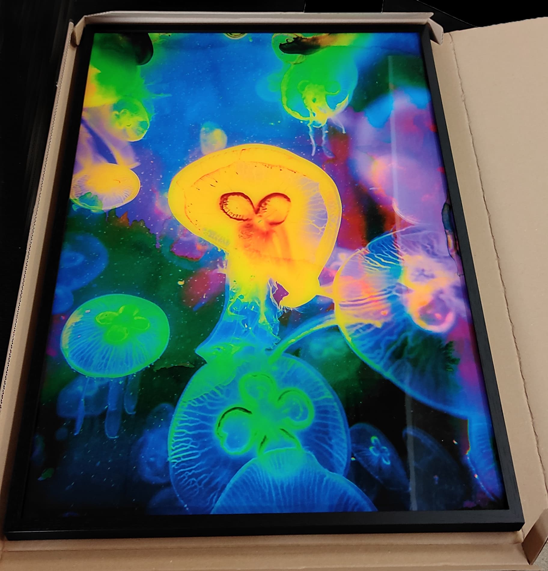 UV-bedrucktes Bilderrahmenglas — Kunstwerke von Mitja Koetter, Berlin